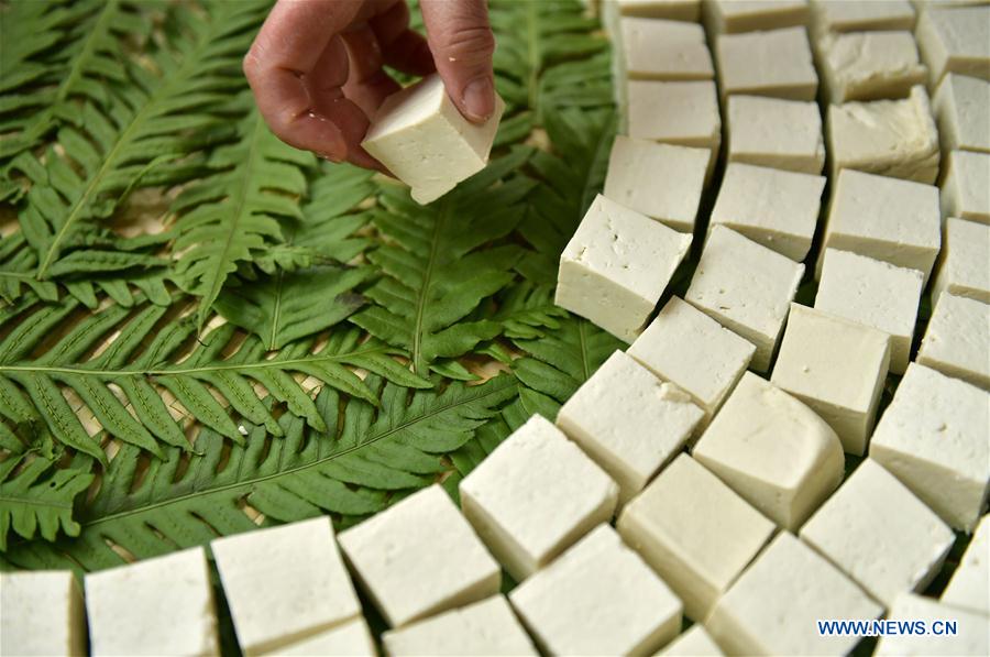 fermented bean curd: traditional snack in central