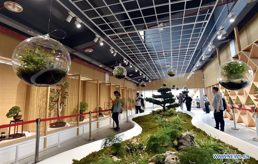 horticulture expo,EXPO jiangsu horticultural expo held in yangzhou