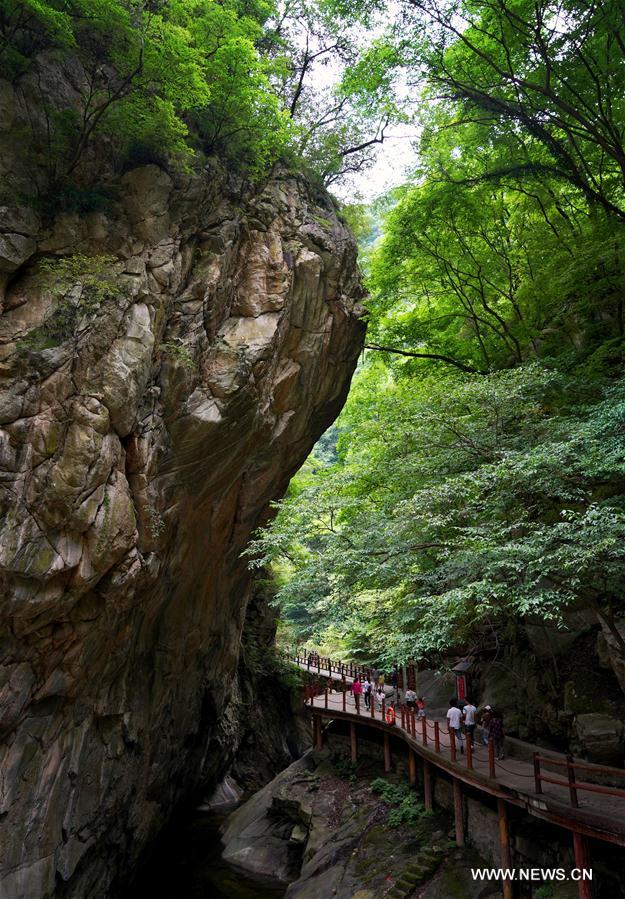 CHINA-SHAANXI-FOREST PARK-SCENERY (CN)