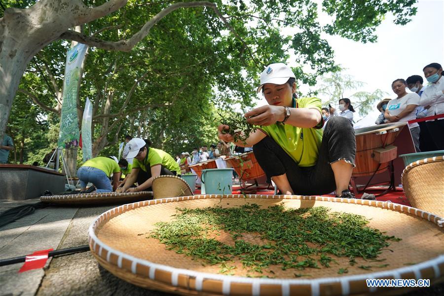 nanjing holds yuhua tea stir-frying competition to mark 1st int"