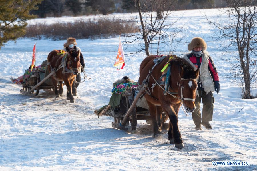 sleighing,dashing tourists go sleighing in beiji village of mohe city, ne china