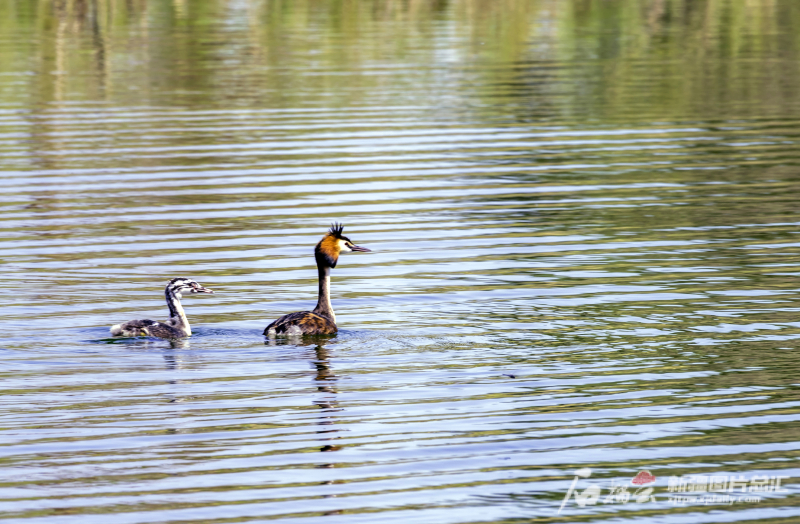 Lop Nur National Wetland Park In Yuli County Tianshannet 天山网