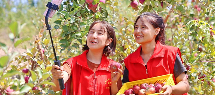 Fruit harvest in NW China’s Xinjiang