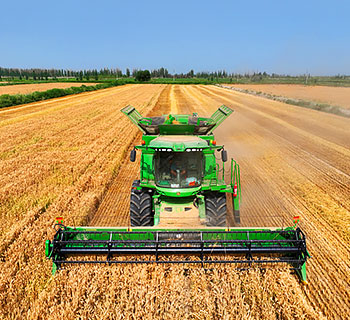 Farmers harvest wheat in Bayingolin Mongolian Autonomous Prefecture, NW China's Xinjiang