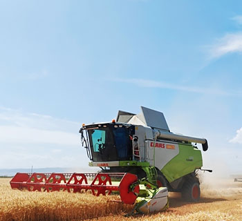 Busy scenes of summer harvest and management in NW China’s Xinjiang