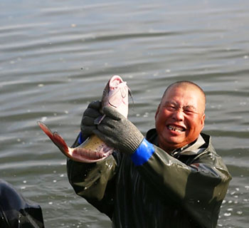 Promising harvest scene in NW China’s Xinjiang