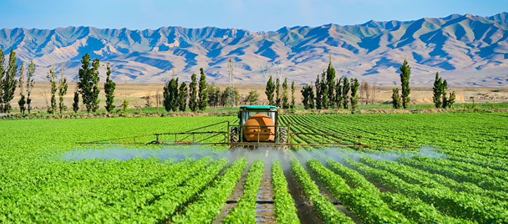 Farmers are busy with field work during the harvest season in NW China’s Xinjiang