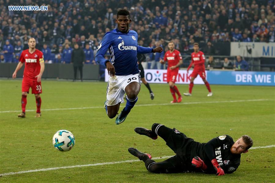 schalke 04, fc koln competes in german dfb pokal football match